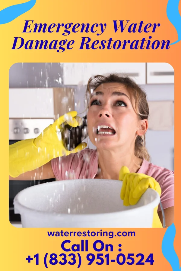 Emergency Water Damage Restoration in Truro, IA